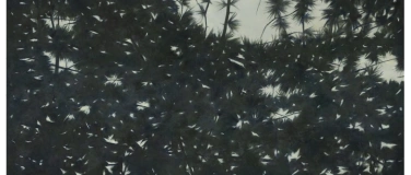 Event-Image for 'Performance: Passage - in the Wake of the World'