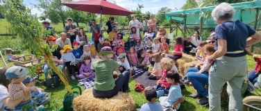 Event-Image for 'Mostfest'