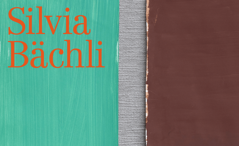 Silvia Bächli Museum Langmatt, Römerstrasse 30, 5400 Baden Tickets