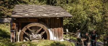 Event-Image for 'Schweizer M&uuml;hlentag'