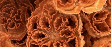 Event-Image for 'LANGNAU MÄRIT im Chüechlihus'