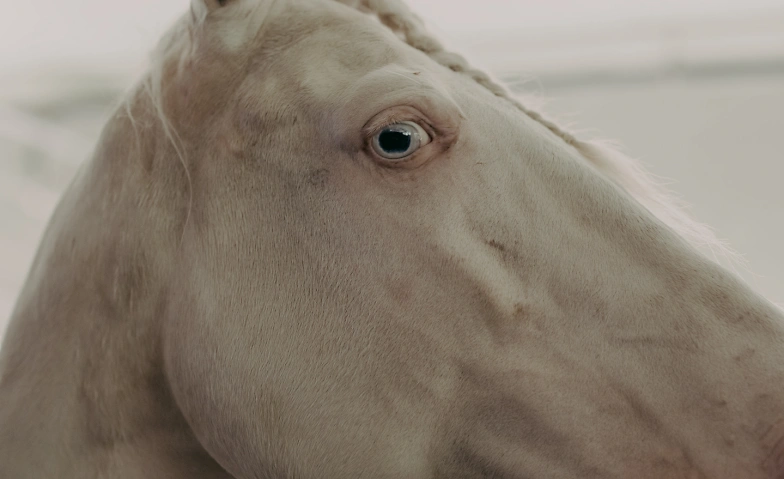 Event-Image for 'Ortswechsel 2025'