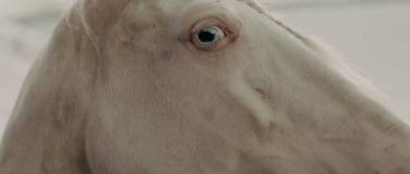 Event-Image for 'Ortswechsel 2025'