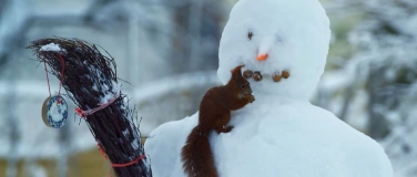 Event-Image for 'Filmabend: O du wilde Weihnachtszeit – Tiere im Winter'