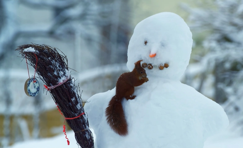 Filmabend: O du wilde Weihnachtszeit – Tiere im Winter Tickets