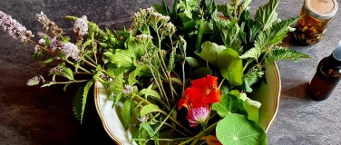 Event-Image for 'NATURENA: Entschlacken mit Fr&uuml;hlingskr&auml;utern'