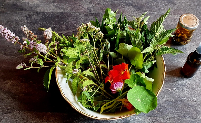 Event-Image for 'NATURENA: Entschlacken mit Fr&uuml;hlingskr&auml;utern'