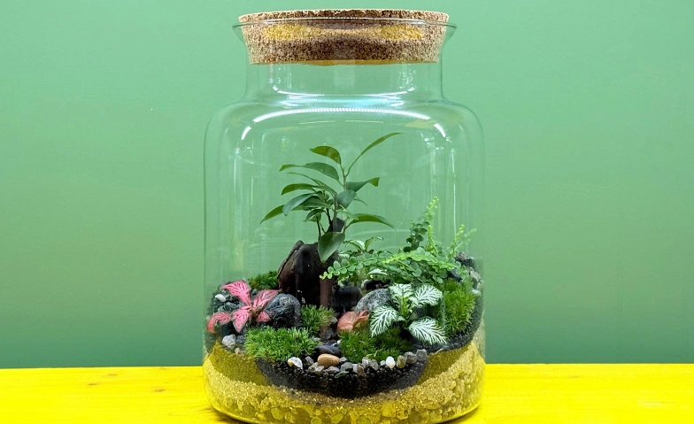 Event-Image for 'NATURENA: Mikro-Garten im Glas'