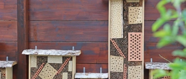 Event-Image for 'Nisthilfen f&uuml;r Wildbienen bauen'