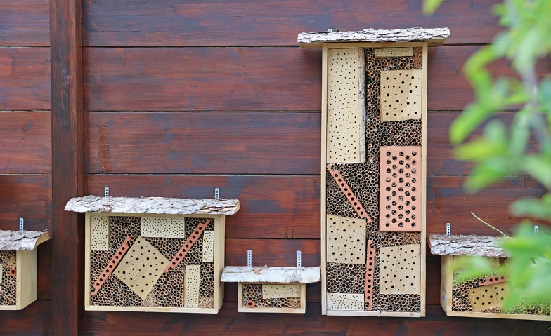 Event-Image for 'Nisthilfen f&uuml;r Wildbienen bauen'