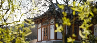Event organiser of Chong An Sunim &ndash; Zen Dharma besz&eacute;d Z&uuml;richben