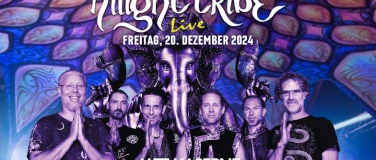 Event-Image for 'HiLiGHT TRiBE Live in Zürich'