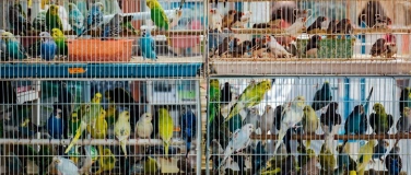 Event-Image for 'Tierbeschlagnahmungen effektiv koordinieren'