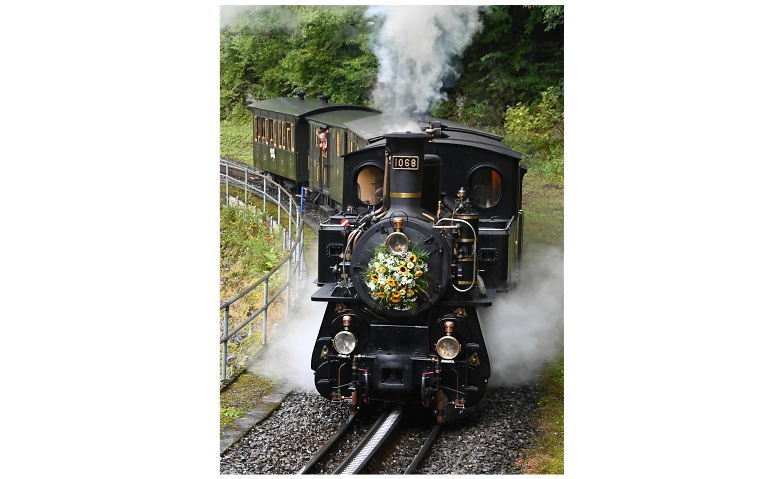 Event-Image for 'Dampffahrt Interlaken-Meiringen-Br&uuml;nig-Giswil und zur&uuml;ck'