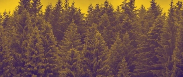Event-Image for 'Draussen Tanzen'