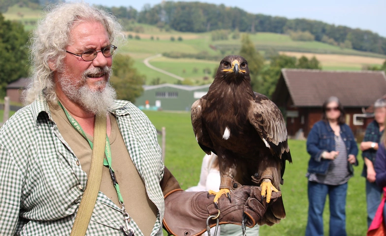 Event-Image for 'NATURENA: Faszination Greifv&ouml;gel'