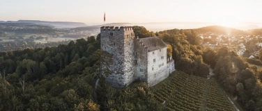 Event-Image for 'Festzeiten! Politisch inszenierte Feste'