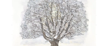 Event-Image for 'Walter Dick Aterlierausstellung 2025'