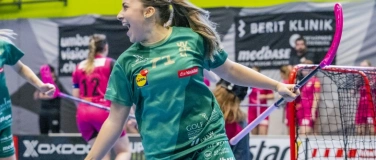 Event-Image for 'Unihockey NLB Women Playoff Final: WASA - Aergera Giffers'