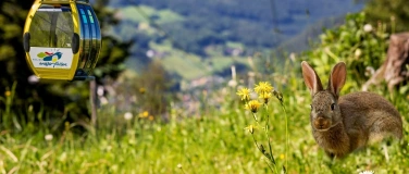 Event-Image for 'Oster-Brunch mit regionalen und hausgemachten K&ouml;stlichkeiten'