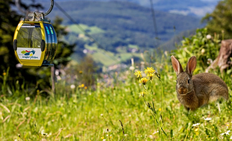 Event-Image for 'Oster-Brunch mit regionalen und hausgemachten K&ouml;stlichkeiten'