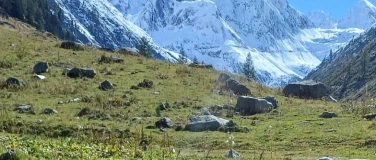 Event-Image for 'UMS'nJIP - eins'