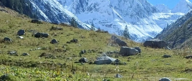 Event-Image for 'UMS'nJIP - eins'