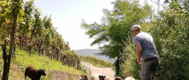 Event-Image for 'Wine & Dine Hoss Hauksson'