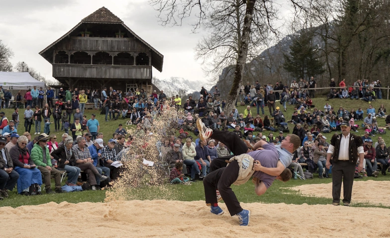 Event-Image for 'Ballenberg-Schwinget'