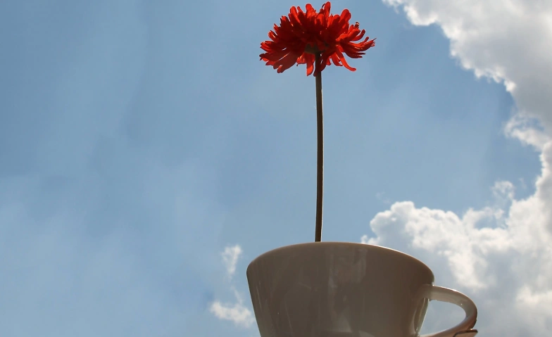 Event-Image for 'Summerkaffi'