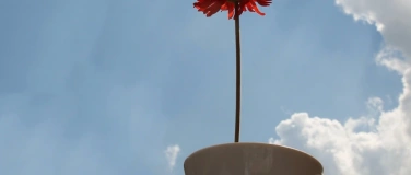 Event-Image for 'Summerkaffi'