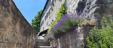 Event-Image for 'Schlossf&uuml;hrungen Tag der offenen T&uuml;r'
