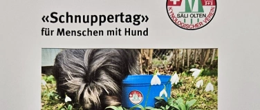 Event-Image for '«Schnuppertag» zum Tag des Hundes'