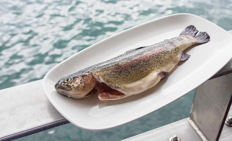 Event-Image for 'Forelle Blau'