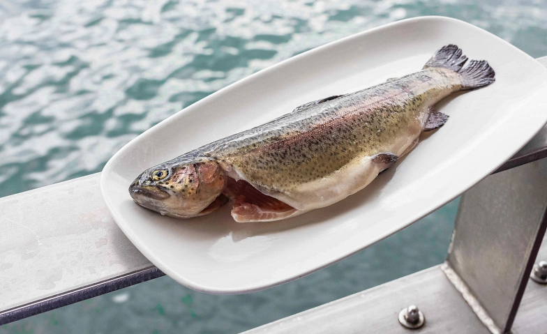 Forelle Blau Tickets