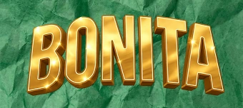 Organisateur de Bonita Event