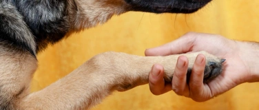 Event-Image for 'Regionale L&ouml;sungen f&uuml;r schwierige F&auml;lle rund um den Hund'