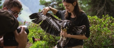 Event-Image for 'Junge Steinadler: um eine Schnabellänge voraus'