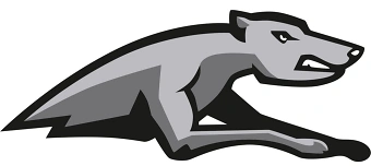 Veranstalter:in von American Football live in Wuppertal: Greyhounds laden ein!