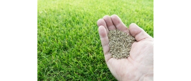 Event-Image for 'Rasen: nicht nur gr&uuml;nes Gras'