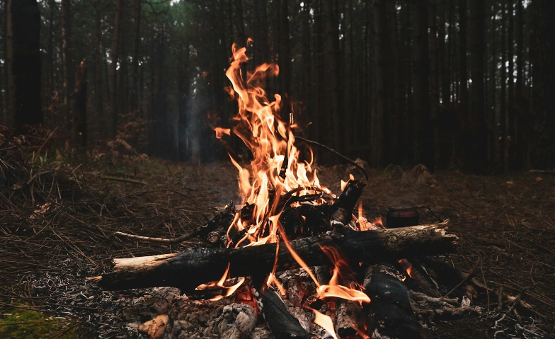 Event-Image for 'Manne F&uuml;&uuml;r'