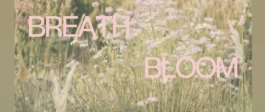 Event-Image for 'Yoga in the garden'