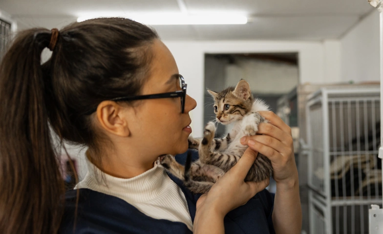 Recruiting im Tierschutzverein Billets