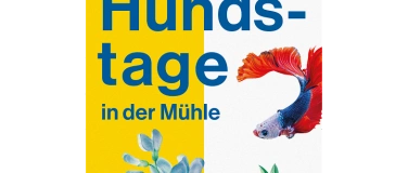 Event-Image for 'Hundstage – Elisabeth Bronfen: Händler der Geheimnisse'