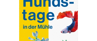 Event-Image for 'Hundstage Eröffnung – Simone Meier: Die Entflammten'