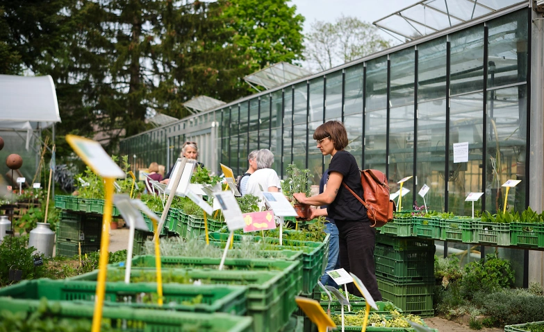 Event-Image for 'Setzlingsmarkt'