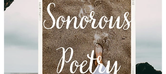 Organisateur de Вечер Стихов Сонорус