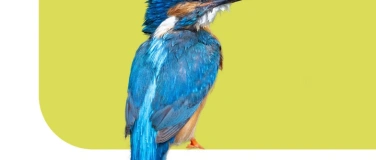 Event-Image for 'Bildervortrag; V&ouml;gel des Seelands von Hansruedi Weyrich'