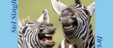 Event-Image for 'Vevey English Comedy Night'