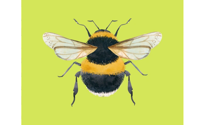 Event-Image for 'Familien-Abenteuer: Insekten'